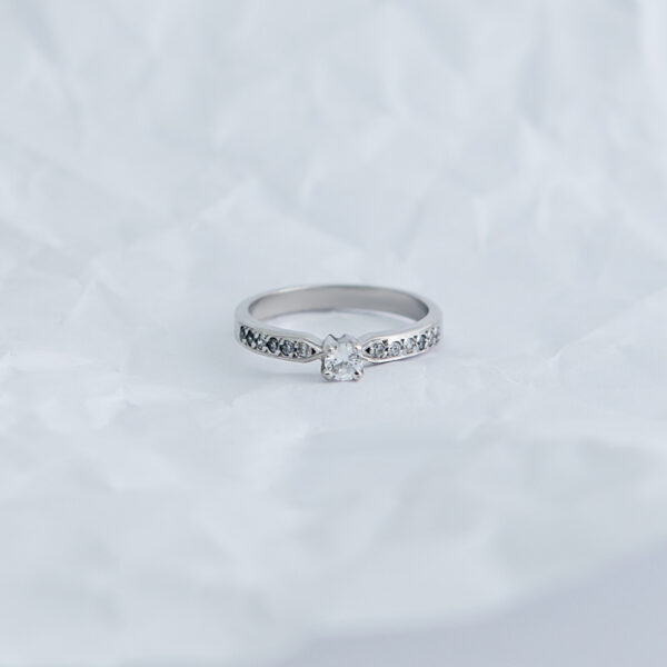 0041 - Image 2