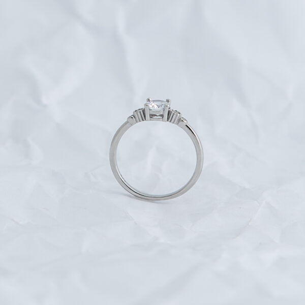 0035 - Image 3