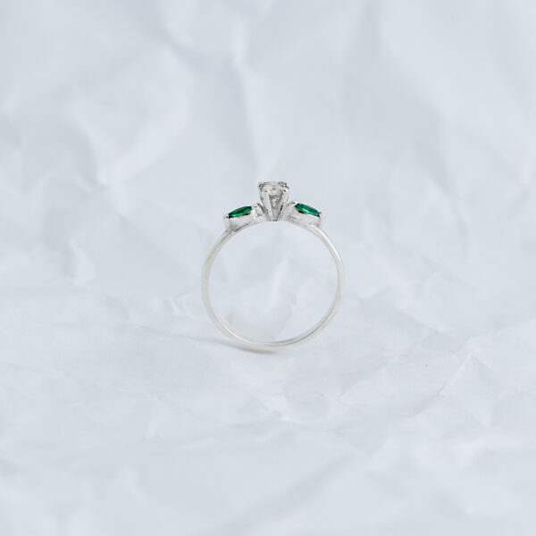 0033 - Image 3